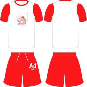 Chándales de alta calidad con etiqueta privada y el mejor diseño, logotipo personalizado, último estilo, lista superior, chándal para hombre - Product Image 2