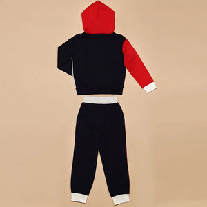 Ensemble de survêtement de sport pour garçons, 2 pièces, de qualité supérieure, avec logo personnalisé, poids lourd, style streetwear, entraînement, veste et pantalon de jogging pour adultes - Product Image 5