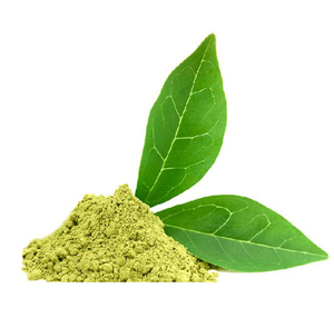 Extracto de Hoja de Gurmar en Polvo, Calidad Premium, Puro y Natural, Grado Alimenticio, 25 KG, Suministro al por Mayor, Precio Competitivo - Product Image 2