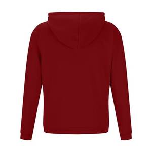 Automne hiver vêtements de travail décontractés Style Preppy sweat à capuche en pur coton pour hommes femmes impression personnalisée avant Image Service OEM disponible - Product Image 3