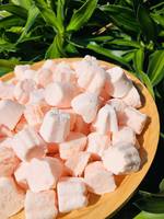 Premium Gevriesdroogde Yoghurt Hapjes 100% Natuurlijke En Exportkwaliteit