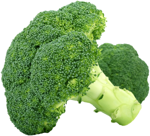 Brocoli frais de haute qualité en gros, vente chaude, brocoli frais de haute qualité, prix d'usine, brocoli à prix bas avec la meilleure offre de réduction - Product Image 1