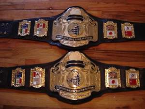 Cinturones de campeonato de Aikido personalizados de alta calidad Totalmente personalizados Cuero exclusivo Entrega rápida Característica cómoda - Product Image 2