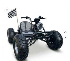 Nuevo Go-Kart Todoterreno Eléctrico Zy-liath-or OEM de 72V sin Escobillas, Potencia Máxima de 10.8kW, Velocidad de 62MPH, Transmisión por Eje, Doble Sistema Hidráulico, Neumáticos 19x7-8 - Product Image 1
