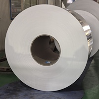 Bobina de Aluminio 1100 H22 de 0.4mm - 5.0mm, Tempera Suave para Estampado y Conformado Profundo