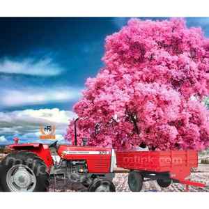 Tractor de ruedas Massey Ferguson MF 375 75HP de alta productividad diseñado para un fácil manejo y operación sistema hidráulico confiable - Product Image 5