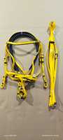 BLUHORSE BH-1114 Bridon de course pour chevaux en PVC unique avec martingale, rênes en acier inoxydable, étanche, design personnalisé
