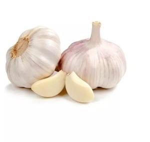 Ail frais pelé biologique de haute qualité en provenance d'Allemagne en gros - Product Image 4