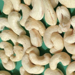 Fournisseur de confiance du Vietnam W320 noix de cajou noix de cajou noix de cajou du Vietnam cassées exportées vers l'Asie, l'UE, le Moyen-Orient - Product Image 1