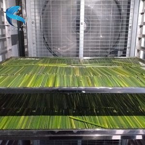 ชุดฟางหญ้าในชีวิตประจำวันจาก ecobang - Product Image 5