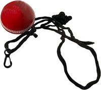 Balle de cricket suspendue en cuir pour frapper, s'entraîner, s'entraîner