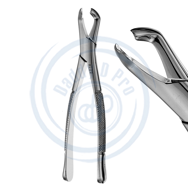 Dental Extraction Forceps 222 High Quality