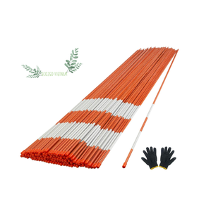 Bastones de bambú verde o bastones de bambú pintados para el deporte del esquí, marca puntos con sostenible de Eco2go Vietnam - Product Image 1