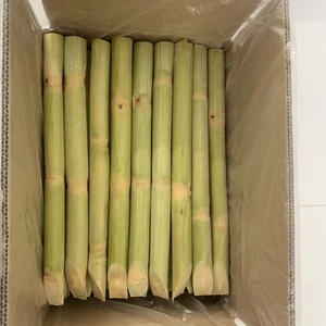 Canne à sucre congelée exportée du Vietnam utilisant des tiges de canne pour la production et le traitement des boissons - Product Image 1