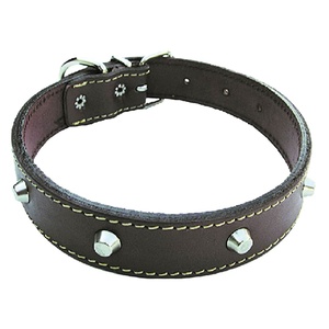 Collare per cani larghezza mm 25 lunghezza cm 55 - Product Image 1