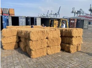 2025ใยมะพร้าวพรีเมี่ยมจากเวียดนามมาตรฐานการส่งออกสูง - Product Image 6