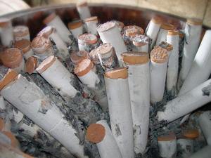 Extracto de hierba de bambú tostado 9X orgánico Premium, cristales de sal marina del Himalaya cultivada salvaje, alternativa a granel, alcalina Premium - Product Image 6