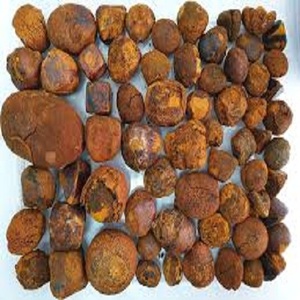 Cálculos biliares de vaca de calidad, bezoar de vaca, cálculos biliares de buey - Product Image 4