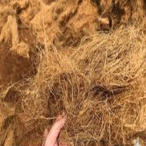 Fibra de coco de calidad de exportación fibra de coco procesada limpia fuerte perfecta para compradores mayoristas e industriales globales - Product Image 3