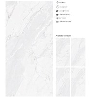 Carreaux de porcelaine classique moderne Costa Carnis Rock Surface brillante glaçure numérique attrayante résistante aux taches pour Villa Hotel Deco