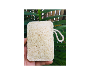 Good Price Vietnam Natural Luffa Scrubber For Export - Thick Cut Durable Natural Luffa Scrubber For Home Tasks - Product Image 5