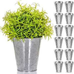 Seau de jardinière en métal galvanisé à la mode pour la maison Pot de fleur et jardinières à la main à usage décoratif intérieur extérieur - Product Image 6