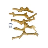 KAYU KOPI ZAITUN JAWA CHEW Dental Chews untuk anjing dan tumbuh gigi untuk burung beo Vacuum 1:1 dengan logo dari BLUE LOTUS VIETNAM