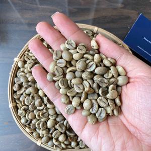 Livraison gratuite directement de la ferme, grains de café Robusta verts, qualité supérieure, biologique, non torréfiés et torréfiés, OEM ODM emballés - Product Image 4