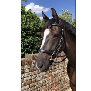 Bride à langer anatomique brevetée pour cheval en épi complet rembourré Cutback Poll Relief en cuir marron noir Design anatomique - Product Image 1