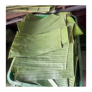 Hoja de plátano congelada de Vietnam Hoja de plátano congelada de color verde fresco Ideal para envolver Arroz pegajoso y postres - Product Image 5