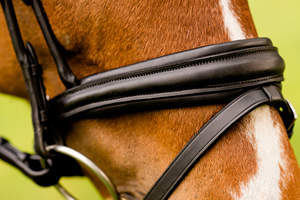 Vente en gros de bride en cuir de cheval de haute qualité en PVC noir et marron pour l'équitation - Product Image 4