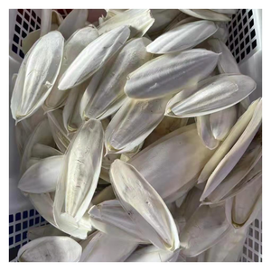 กระดูกปลาหมึกธรรมชาติพร้อมส่งไม่มีราพื้นผิวสะอาดเหมาะสำหรับผู้ซื้อขายส่งในการจัดหาสัตว์เลี้ยงตลาดอุปกรณ์ตกแต่งนก - Product Image 2