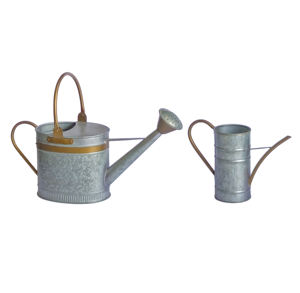 Pot verseur d'eau à bande dorée vintage en métal galvanisé bec amovible arrosoir durable de jardin pour l'alimentation de la verdure à la maison - Product Image 3