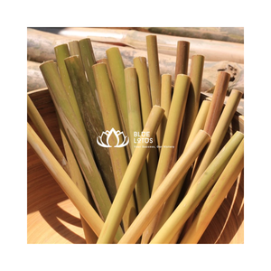 Disponible dès maintenant-Paille en bambou | Eco Drinkware Solution - Product Image 1