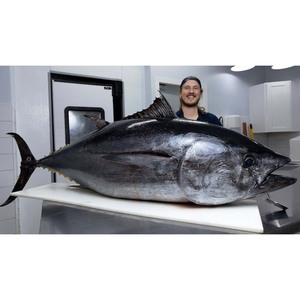 Poisson de thon congelé à haute teneur en protéines océan frais, surgelé et emballé sous vide pour la sécurité - Product Image 3