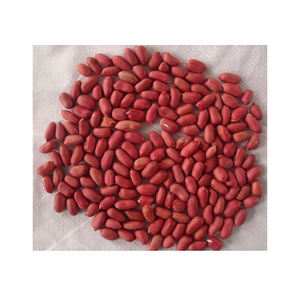 Arachides brutes de qualité supérieure sans coquille, cacahuètes brutes blanchies, moissonneuse d'arachides Agriculture - Product Image 3