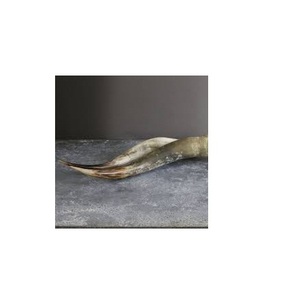 Paire de corne de buffle de luxe logo personnalisé pour décoration murale de maison couleur naturelle avec corne de paire de buffle polie au meilleur prix - Product Image 4