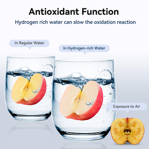 <span class=keywords><strong>Bouteille</strong></span> d'eau <span class=keywords><strong>de</strong></span> santé d'hydrogène <span class=keywords><strong>Bouteille</strong></span> d'eau d'hydrogène 300ml avec inhalateur <span class=keywords><strong>de</strong></span> <span class=keywords><strong>gaz</strong></span> moléculaire H2 Maker Machine SPE/PEM Technology - Product Image 2