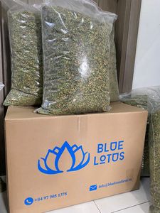 MEILLEURE FLEUR DE PAPAYE MÂLE SÉCHÉE AUX HERBES FLEUR SÉCHÉE BON THÉ DU VIETNAM VENTE TOTALE PRIX BON MARCHÉ + 84855014447 MS AMELIA - Product Image 4