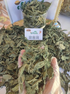 Feuilles de Molokhia Égyptiennes Séchées 100% Naturelles de Qualité Supérieure, Grade Alimentaire, Durée de Conservation de 24 Mois, Utilisation Culinare et Industrielle, Al Nada - Product Image 4