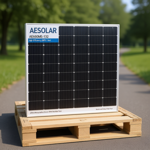 Panel Solar Monocristalino AESOLAR AE660ME-132 de Alta Eficiencia BIPV de Media Celda, 210 mm, con Lámina Trasera Blanca, en Paquete de Palés - Product Image 3