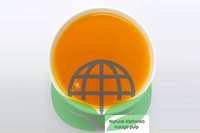 Natuurlijke Suiker-Vrije Alphonso Mango Puree Vlees in blik 100% Fruit Warmteverwerkt 3,1kg Blikken Verpakking Export Kwaliteit India