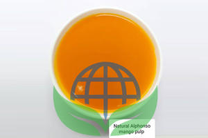 Pulpa de Mango Alphonso Natural Sin Azúcar Enlatada, 100% Fruta, Procesada Térmicamente, Lata de 3.1 kg, Calidad de Exportación, India - Product Image 6