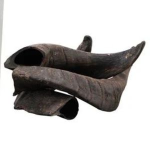 Noshahi con chó lớn xử lý nước cao cấp sừng trâu nhai tùy chỉnh tự nhiên thức ăn vật nuôi Sản xuất tại Ấn Độ - Product Image 2