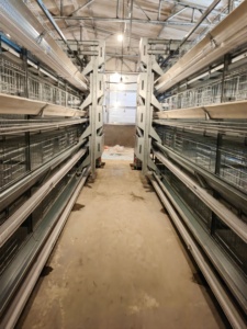 ระบบเล้าไก่แบบกรงไก่อัตโนมัติแบบ H ทนทาน - Product Image 6