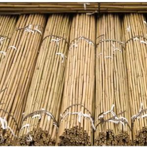 Bamboo <b>Flower</b> Sticks | Small Diameter Canes | Custom <b>Dried</b> & Straightened | <b>Plant</b> Support - Product Image 2
