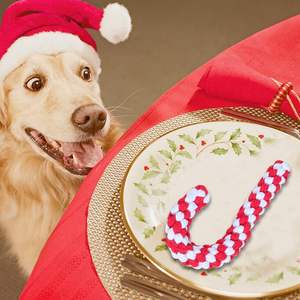 Jouets d'entraînement de dentition jouet en coton pour animaux de compagnie jouet à mâcher pour chien lavable coloré interactif pour le nettoyage des dents OEM fabriqué au Vietnam - Product Image 4