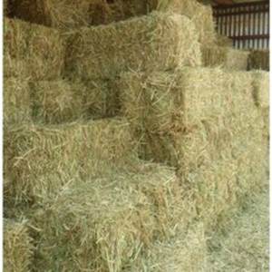 Heno de Alfalfa de Primera Calidad, Humedad 2%, 12 Meses de Vida Útil, para Ganado y Animales, en Venta - Product Image 6