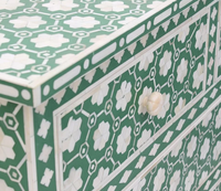 Table basse en résine faite à la main, style floral contemporain, art indien exotique, couleur personnalisée, meubles de salon pour usage domestique