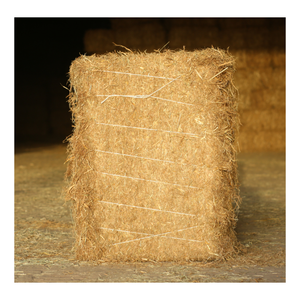 Pacas comprimidas dobles de heno de paja de trigo Natural para ganado de caballos y cerdos promueve un crecimiento saludable, nutritivo y digestible - Product Image 3